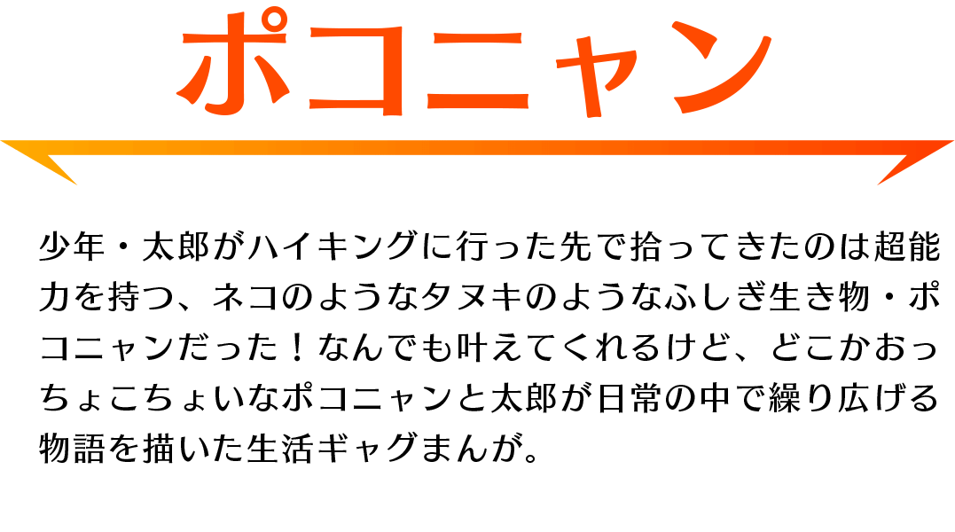 「ポコニャン」あらすじ：ネコのようなタヌキのようなふしぎ生き物・ポコニャン！